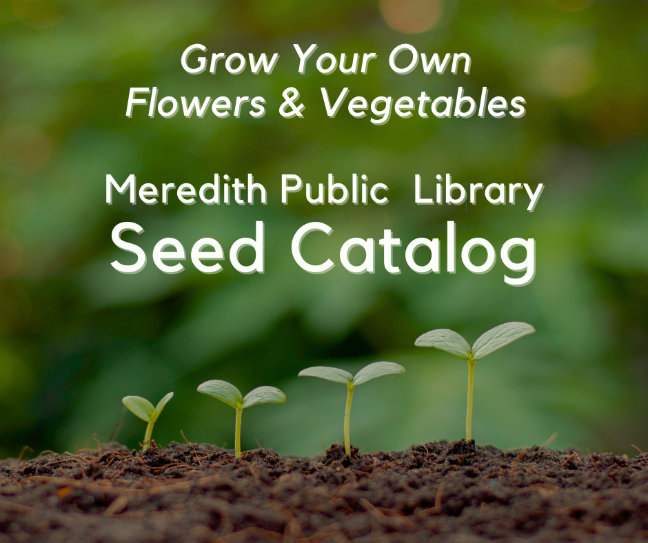 Grow your own flowers and vegetables with the Meredith Public Library Seed Catalog.